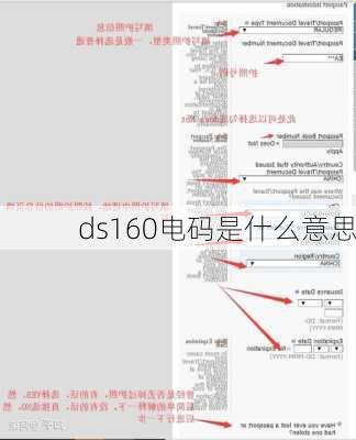 ds160电码是什么意思