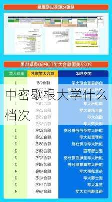 中密歇根大学什么档次