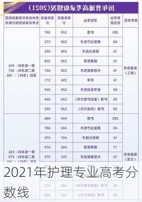 2021年护理专业高考分数线