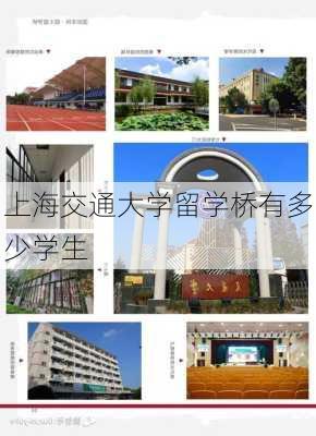 上海交通大学留学桥有多少学生