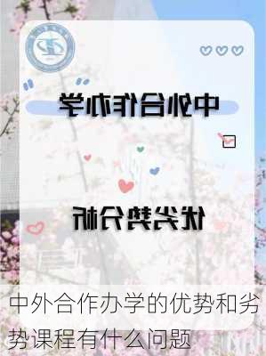 中外合作办学的优势和劣势课程有什么问题