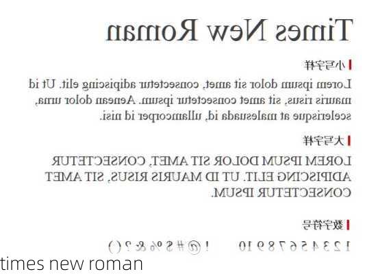 times new roman