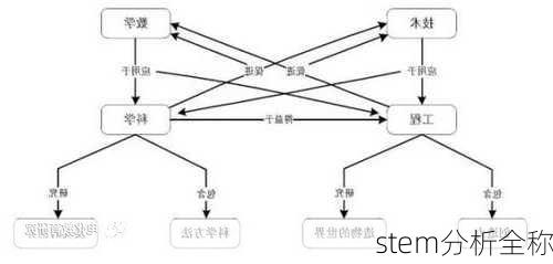 stem分析全称