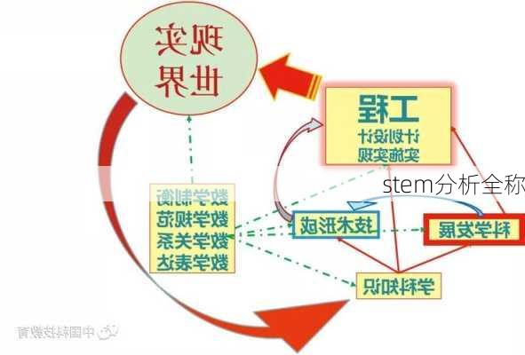 stem分析全称