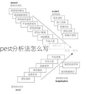 pest分析法怎么写