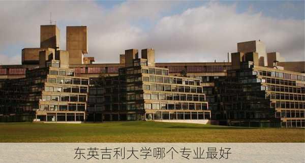 东英吉利大学哪个专业最好