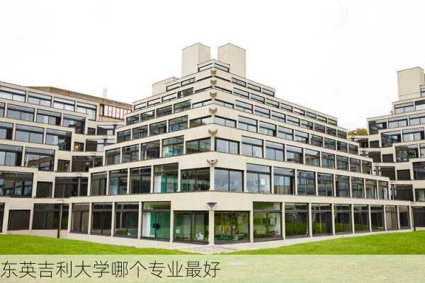 东英吉利大学哪个专业最好