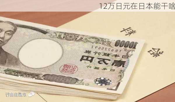 12万日元在日本能干啥