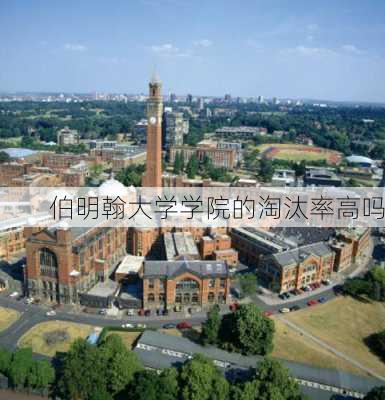 伯明翰大学学院的淘汰率高吗