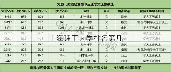 上海理工大学排名第几