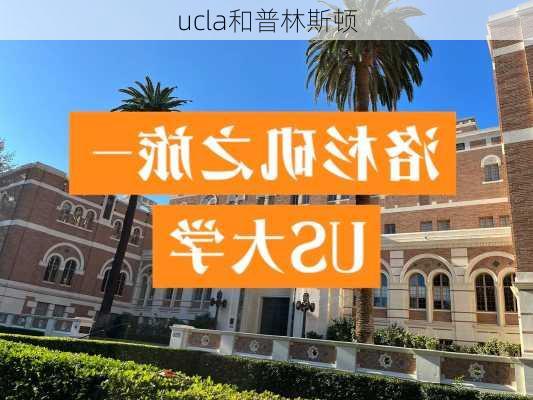 ucla和普林斯顿