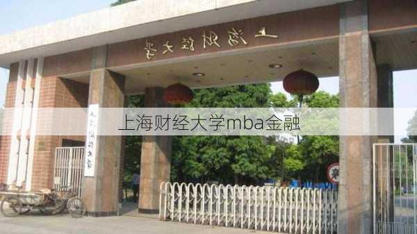 上海财经大学mba金融