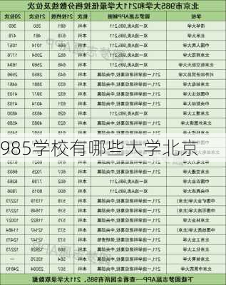 985学校有哪些大学北京