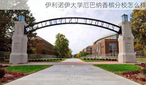 伊利诺伊大学厄巴纳香槟分校怎么样