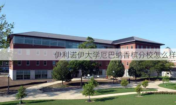 伊利诺伊大学厄巴纳香槟分校怎么样