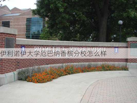 伊利诺伊大学厄巴纳香槟分校怎么样