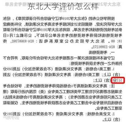 东北大学评价怎么样