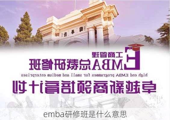 emba研修班是什么意思