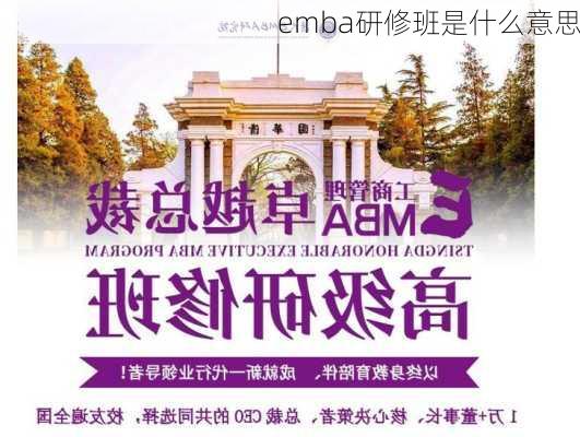 emba研修班是什么意思