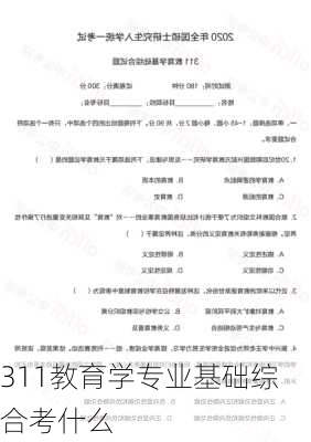 311教育学专业基础综合考什么