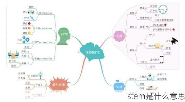 stem是什么意思