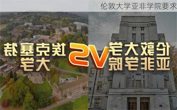 伦敦大学亚非学院要求