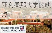 亚利桑那大学的缺点