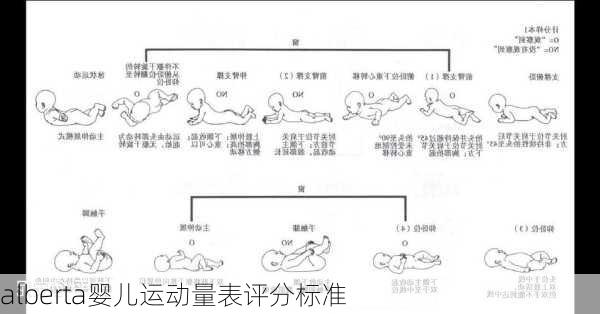 alberta婴儿运动量表评分标准
