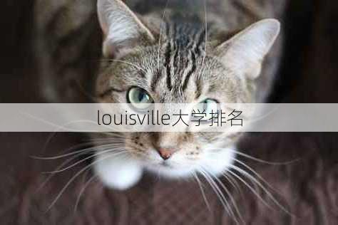 louisville大学排名