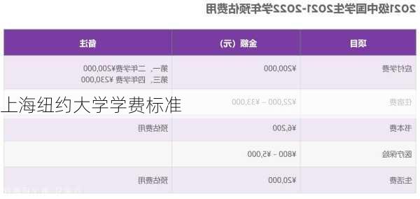 上海纽约大学学费标准