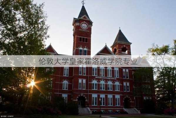 伦敦大学皇家霍洛威学院专业