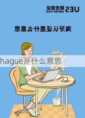 hague是什么意思