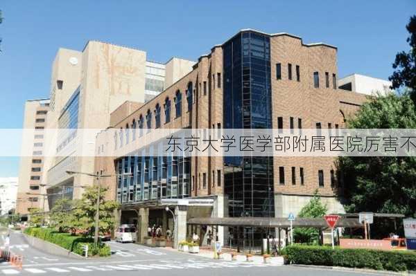 东京大学医学部附属医院厉害不