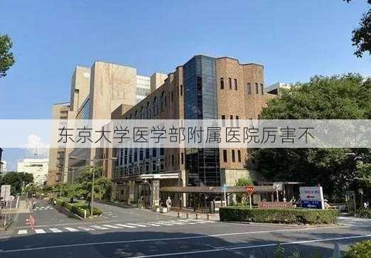 东京大学医学部附属医院厉害不