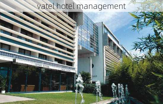 vatel hotel management