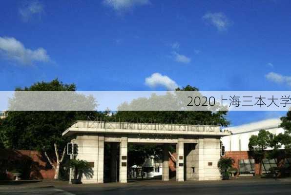 2020上海三本大学