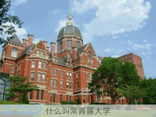 什么叫常青藤大学