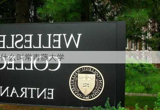 什么叫常青藤大学