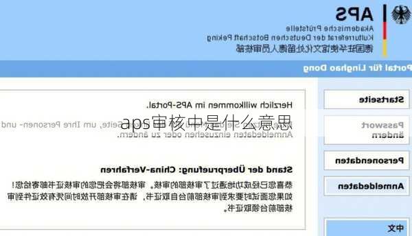 aps审核中是什么意思