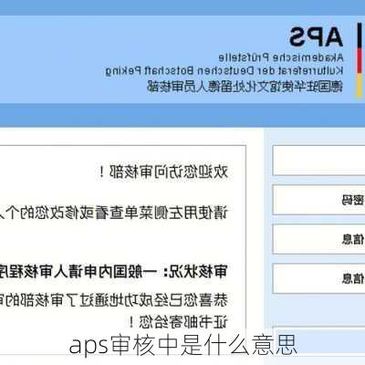 aps审核中是什么意思