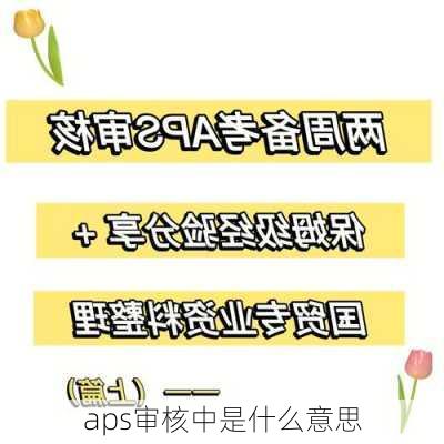 aps审核中是什么意思