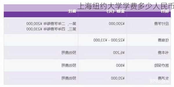 上海纽约大学学费多少人民币