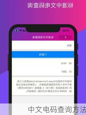 中文电码查询方法