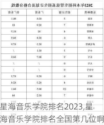 星海音乐学院排名2023,星海音乐学院排名全国第几位啊