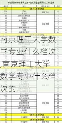 南京理工大学数学专业什么档次,南京理工大学数学专业什么档次的