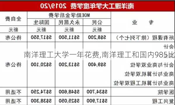 南洋理工大学一年花费,南洋理工和国内985比