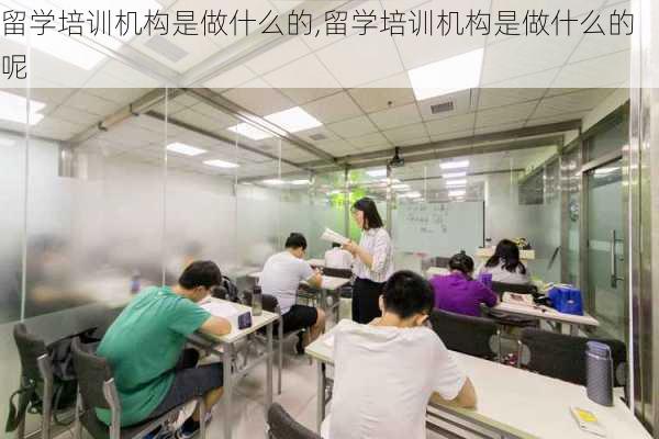 留学培训机构是做什么的,留学培训机构是做什么的呢