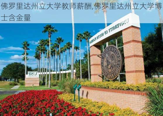 佛罗里达州立大学教师薪酬,佛罗里达州立大学博士含金量