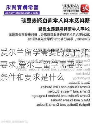 爱尔兰留学需要的条件和要求,爱尔兰留学需要的条件和要求是什么