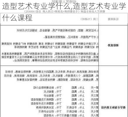 造型艺术专业学什么,造型艺术专业学什么课程